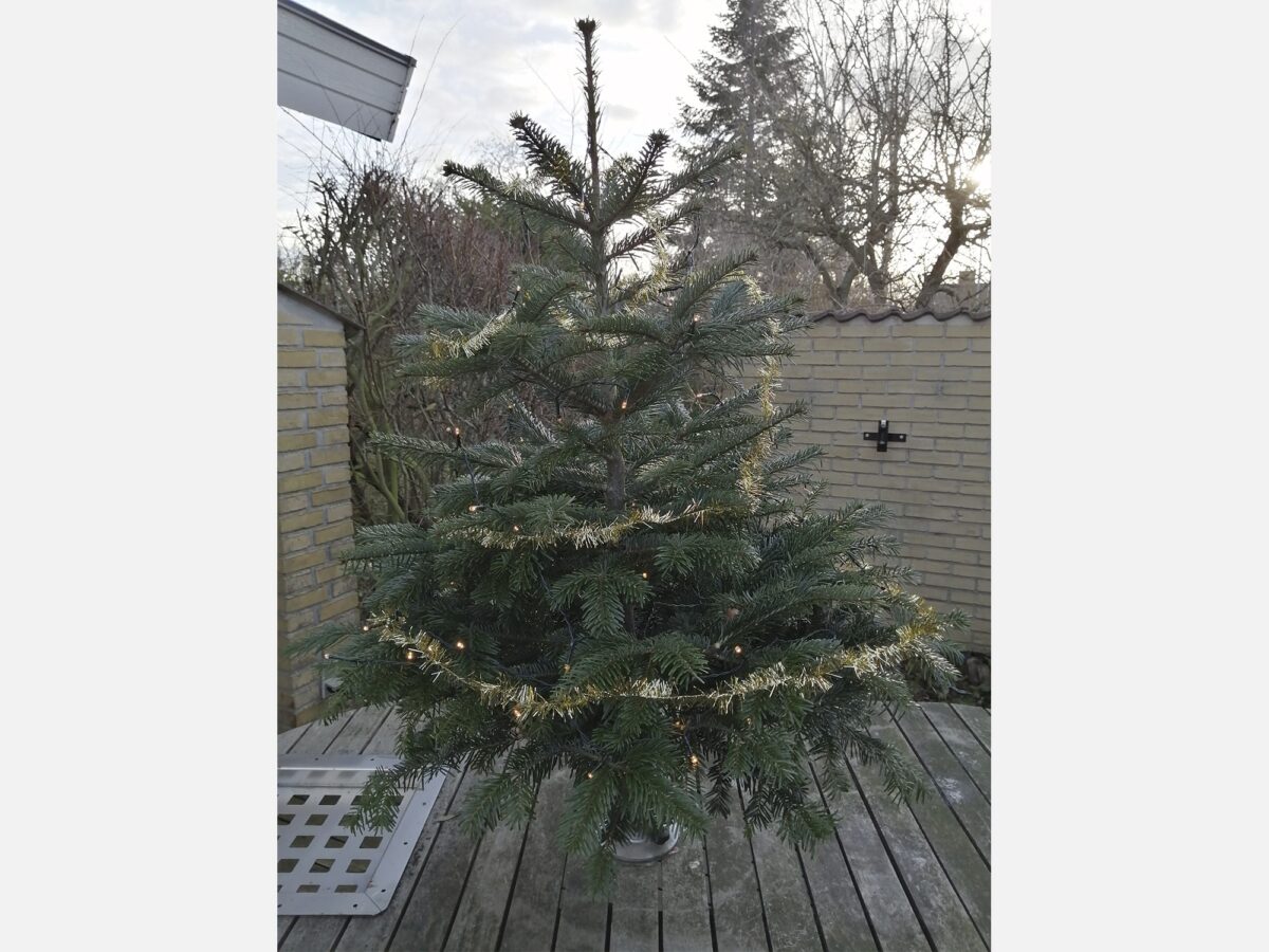 Parasollfot för fast montage i exempelvis terrassgolv i trä eller trädgårdsbord. Passar till parasoller med pelare på en diameter mellan Ø18-48 mm. Fästet passar bord eller trall som är max 6 cm tjockt. För att fästa foten måste springorna vara 6 mm eller större. Den här foten passar parasoller på en storlek med max 300×300 cm eller Ø300 cm. Mått: Höjd 20 cm, bredd 30 cm Passar trall/bord upp till 60 mm tjockt. Passar parasoller mellan Ø18-48 mm i diamete